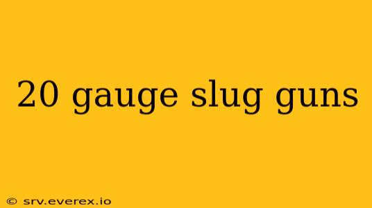 20 gauge slug guns
