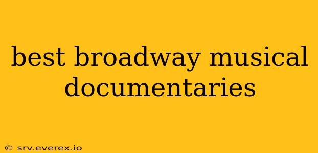 best broadway musical documentaries