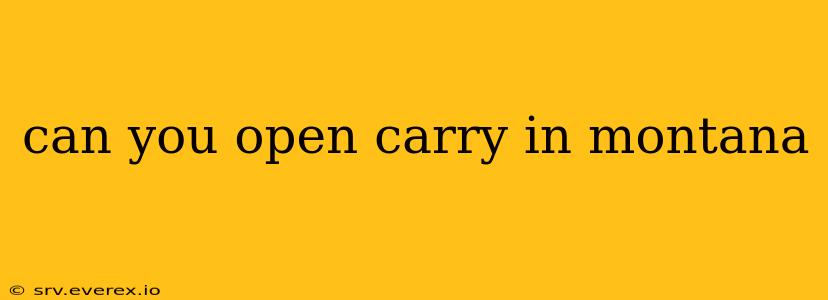 can you open carry in montana