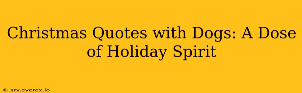 Christmas Quotes with Dogs: A Dose of Holiday Spirit