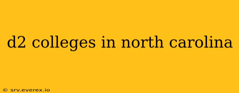 d2 colleges in north carolina
