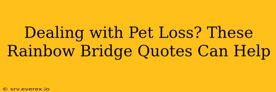 Dealing with Pet Loss? These Rainbow Bridge Quotes Can Help