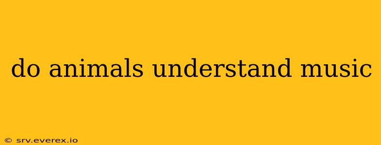 do animals understand music