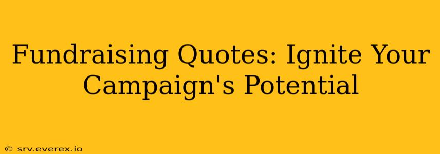 Fundraising Quotes: Ignite Your Campaign's Potential