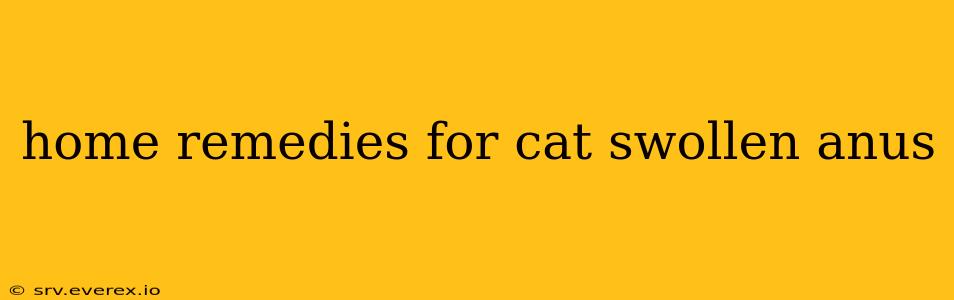 home remedies for cat swollen anus