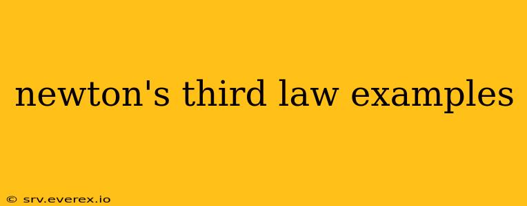 newton's third law examples