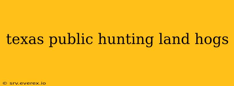 texas public hunting land hogs