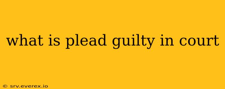 what is plead guilty in court