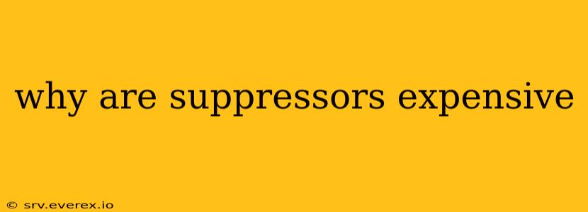 why are suppressors expensive